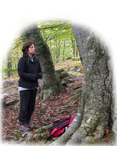 natura-meditazione-forest